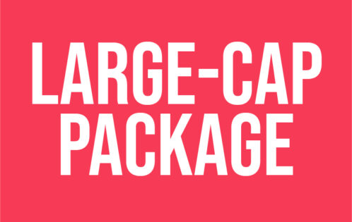 Large-Cap Company Package